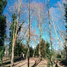 Parc Marial