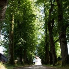 Lindenallee beim Schloß Altenhof