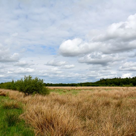 Moore der Breitenburger Niederung