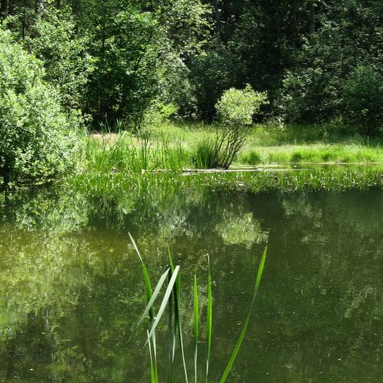 Rezerwat przyrody Biesak-Białogon