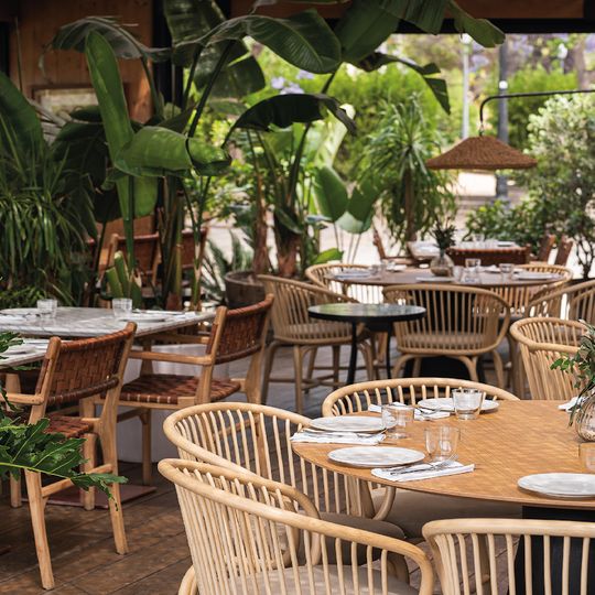 Terraza Martínez