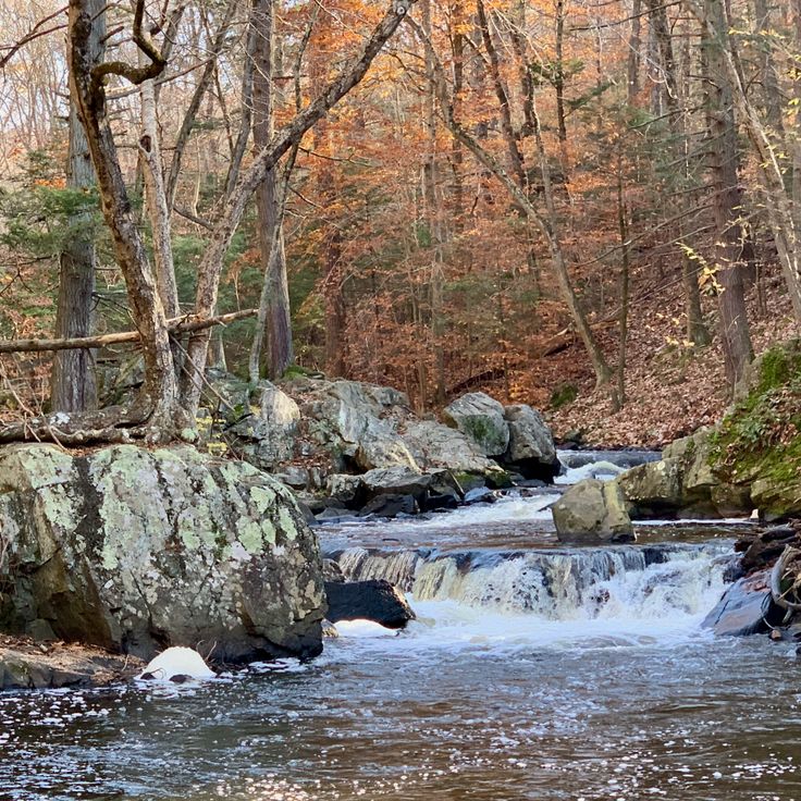 Hacklebarney State Park