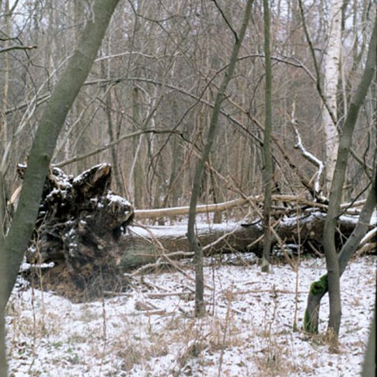 Rezerwat przyrody Kręcki Łęg