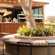 Rooftop a Città del Capo: bar in terrazza, vedute su Table Mountain