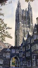 Princeton University