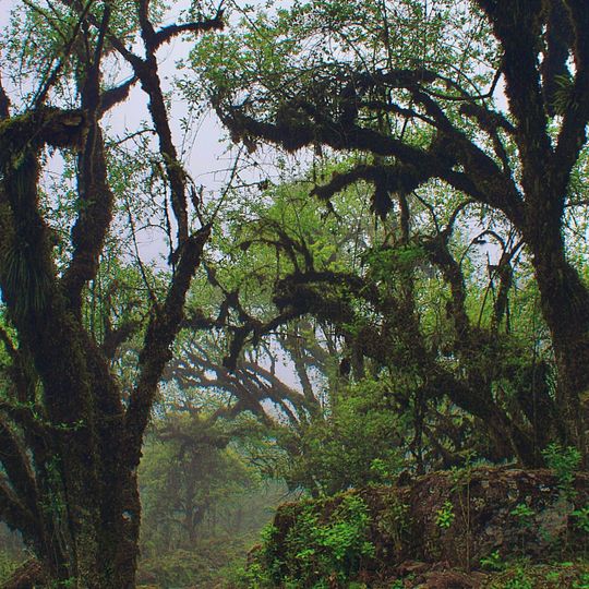 Tariquía Flora and Fauna National Reserve