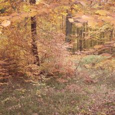 Siwa Góra (Wyżyna Olkuska)