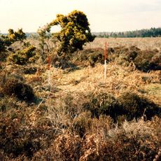 Bowl barrow 1130m east of Broomy Lodge