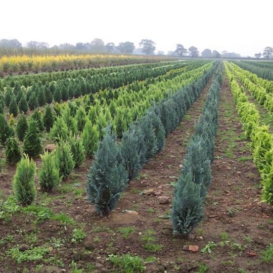 Maltkilns House And Railings