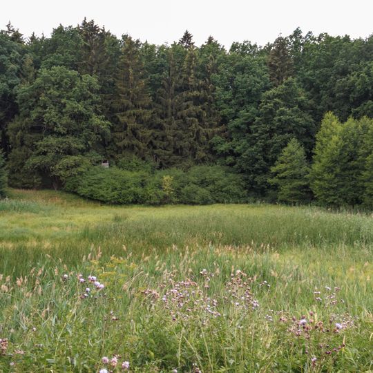 Červená Třemešná - rybník