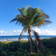 Balneario público de Humacao