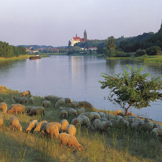 Elbtal zwischen Schöna und Mühlberg