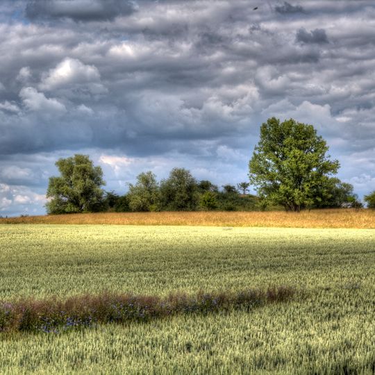 Pfingstanger bei Wörmlitz