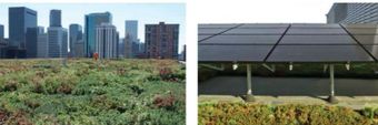 EPA Green Building Profile Cover