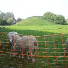 Vliedberg (kasteelberg)