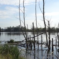 Mairied von Rodheim und Gänsweid von Steinheim