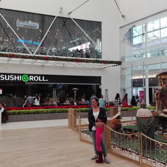 Sushi Roll