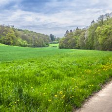LSG Zeller Grund