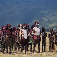 Highland Papua