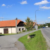 Netřeby