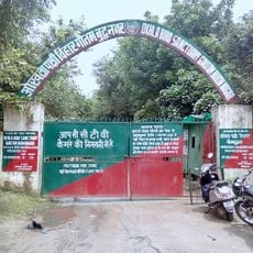 Okhla Sanctuary