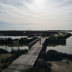 Salina de Nuestra Señora de los Desamparados