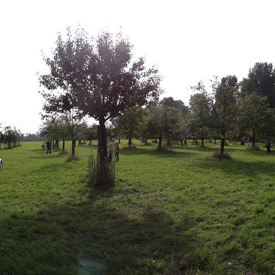 NSG Flittarder Rheinaue