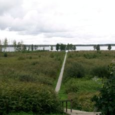 Vīķu purvs