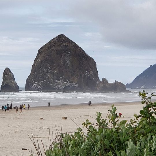 Tolovana Beach Wayside