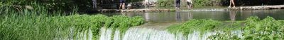 Panoramic View 1