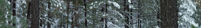 Panoramablick 1