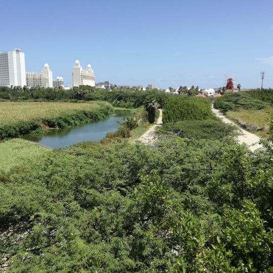 Bubali Bird Sanctuary