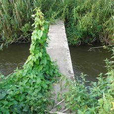 Lávka přes Mlýnský potok v Kostelci nad Labem cca 45 m před ústím do Labe