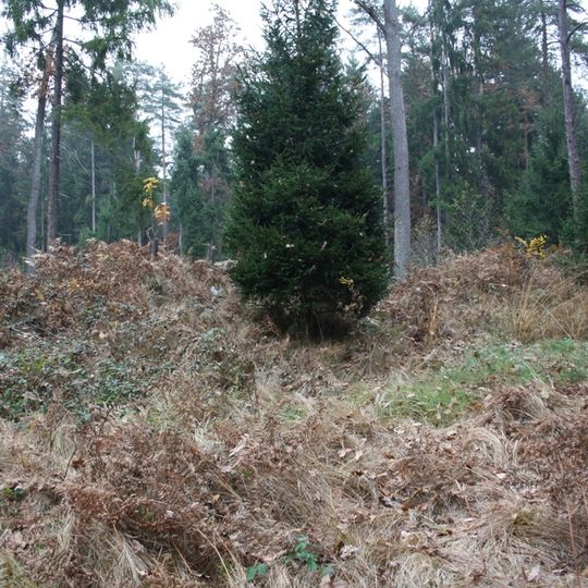 Hügelgräber im Kaiserwald