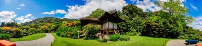 Panoramic View 3