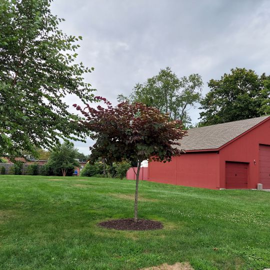 Villa Rosa Terrace Beach