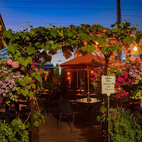 Pellegrino's Italian Kitchen