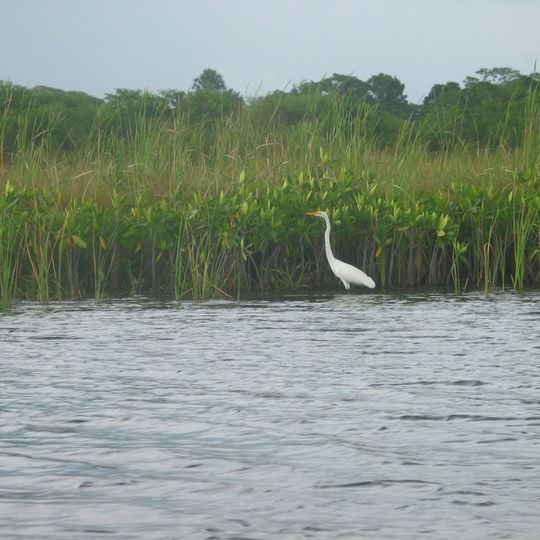 Black River