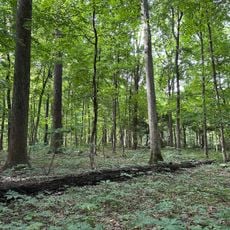 Beall Woods State Park