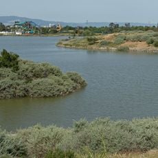 Lake Cunningham