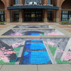 Georgia Sports Hall of Fame