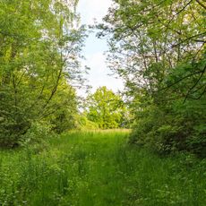 Hradiště Na Hradě