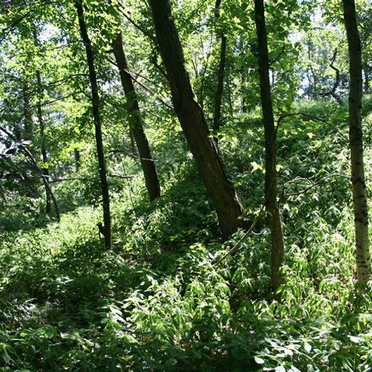 Burgwall Alt Brieselang