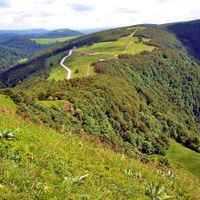Vosges