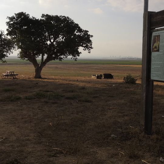 גבעת התאנים