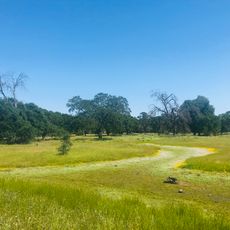 Phoenix Vernal Pools