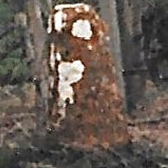 Milestone, Forest Road; Dyers Hill, half mile W of Charlbury Station