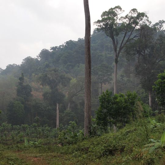 Parc national de Khao Lak-Lam Ru