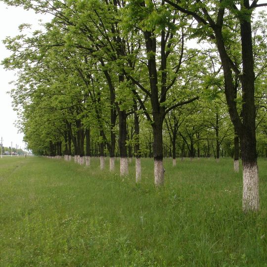 Mostovskoj