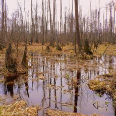 Kampinos National Park